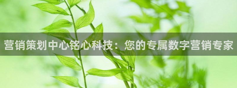 金年会是不是黑平台