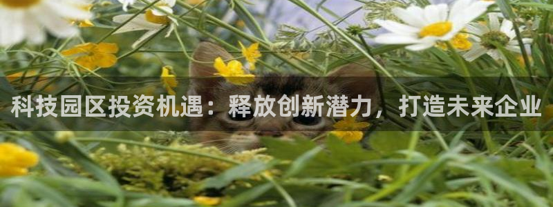 金年会官方网