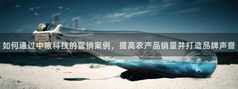 金年会官方下载app
