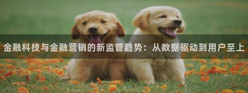金年会体育app下载官网安卓版