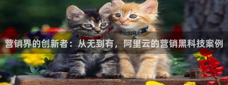 金年会app官方网站下载