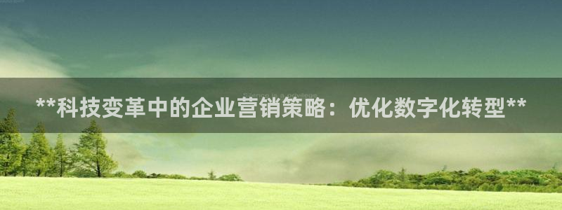 今年会金年会