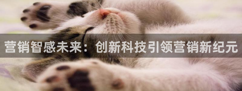 金年会体育官方app下载安卓
