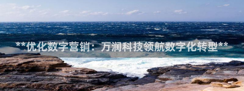 金年会电子平台
