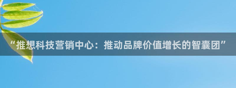 金年会体育app是干嘛的