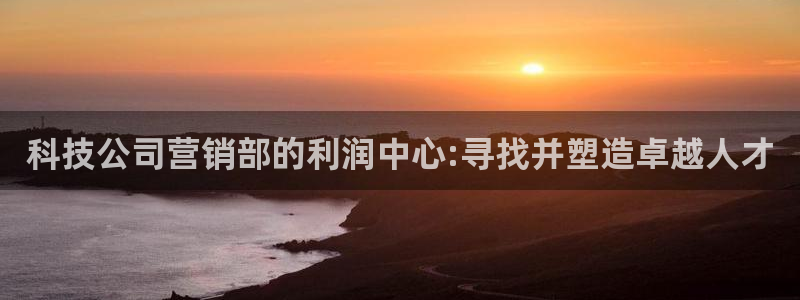 金年会体育合法吗