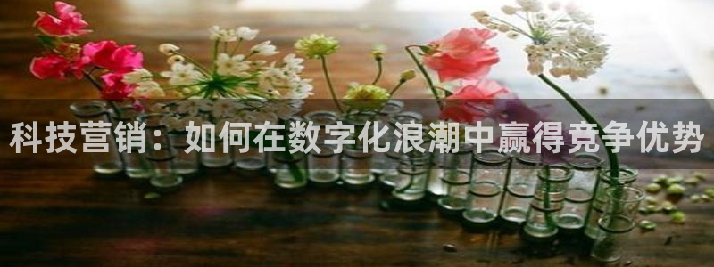金年会app官网下载
