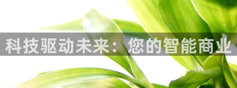 金年会网址导航在线播放