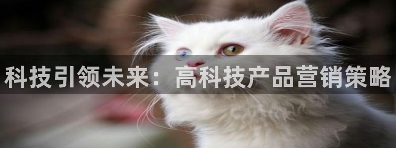 金年会体育买球app下载安卓