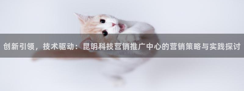 金年会手机版
