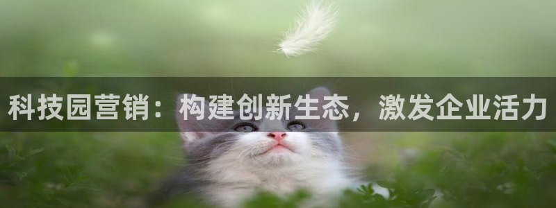 金年会体育电子登录入口