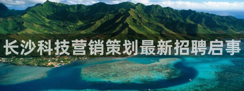 金年会体育一直输