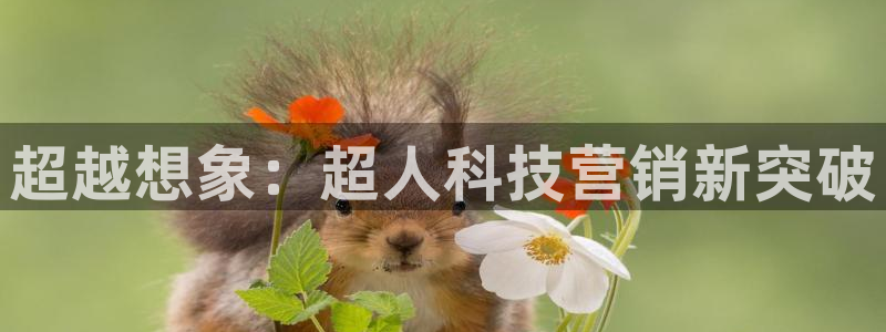 金年会赌博软件