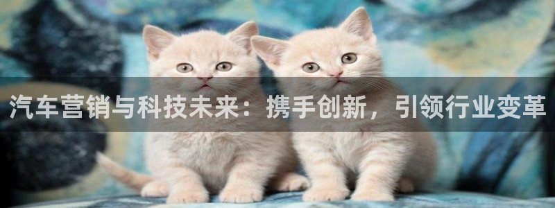 金年会sports