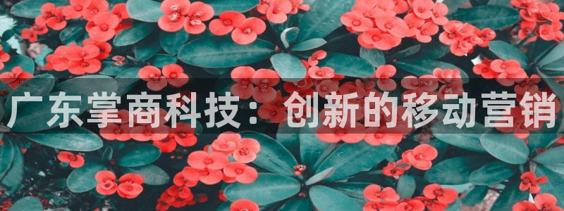 金年会体育娱乐