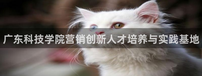 金年会官方在线入口网址