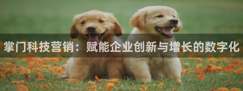 金年会平台怎么样