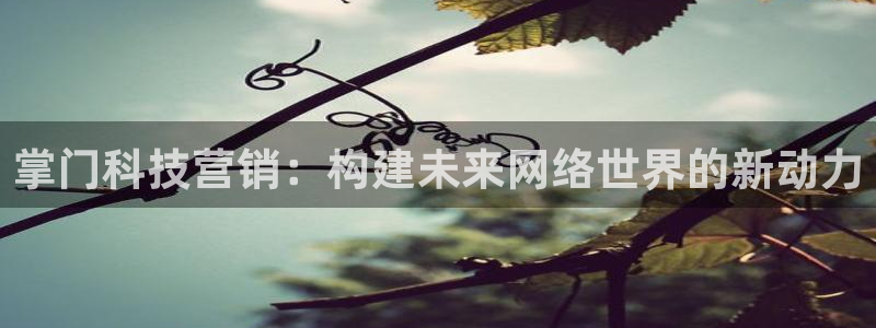 金年会com