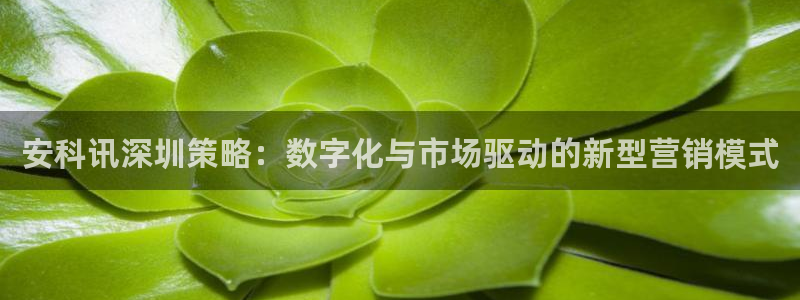 金年会平台是黑网