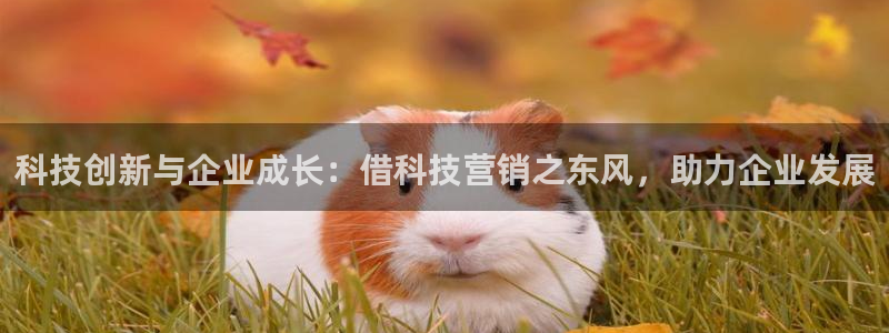 金年会手机网页版登录入口