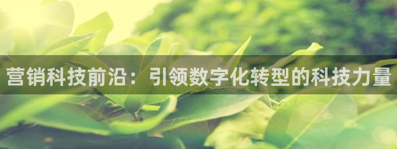 金年会官方入口2023