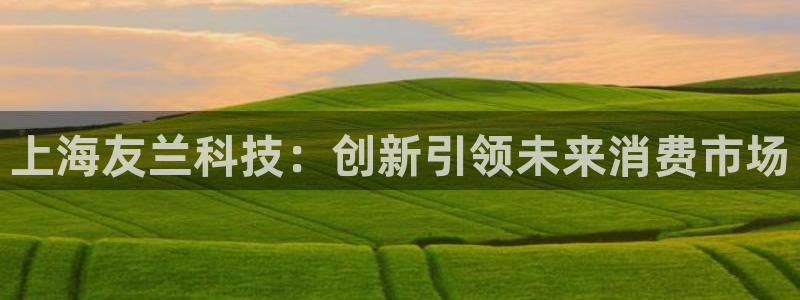 金年会官方在线入口网址查询