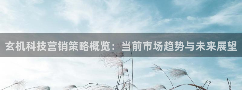 金年会网赌靠普吗