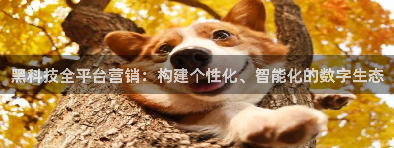 金年会官方网站入口登