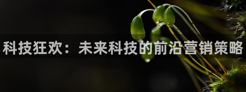 金年会体育注册