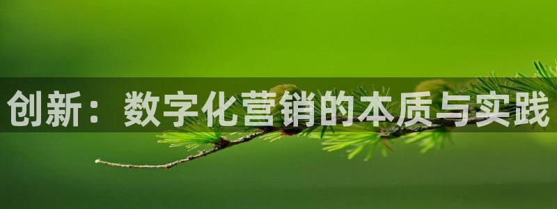金年会app是不是钓鱼软件
