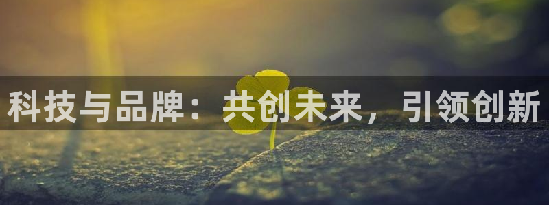 金年会官方下载入口手机版