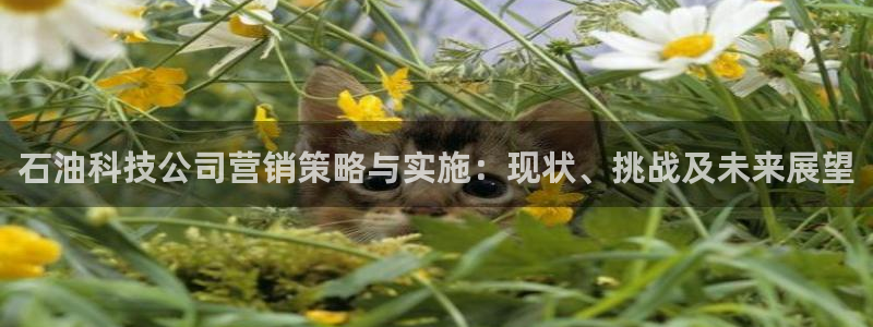 金年会体育查处
