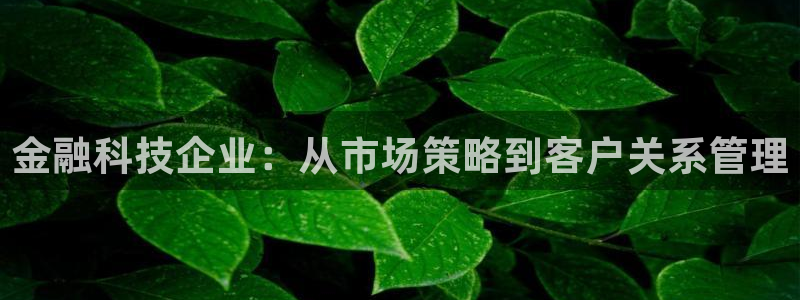 金年会体育网app下载