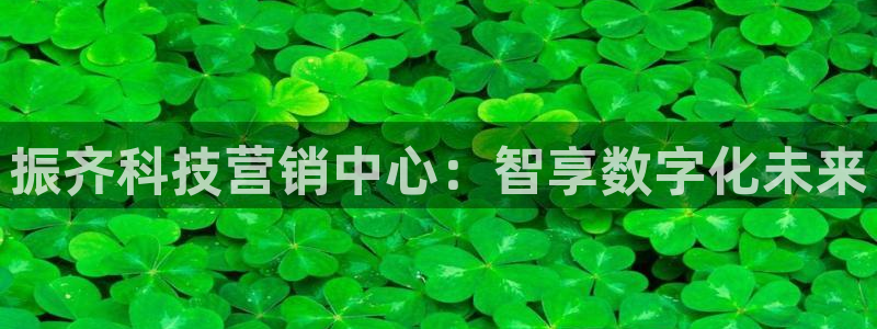 金年会体育app是干嘛的