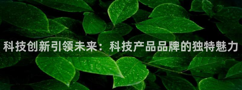 金年会官方app下载安卓