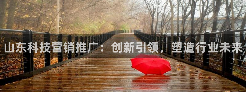 金年会体育app下载官网
