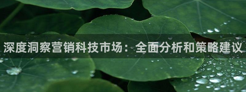 金年会体育网页版