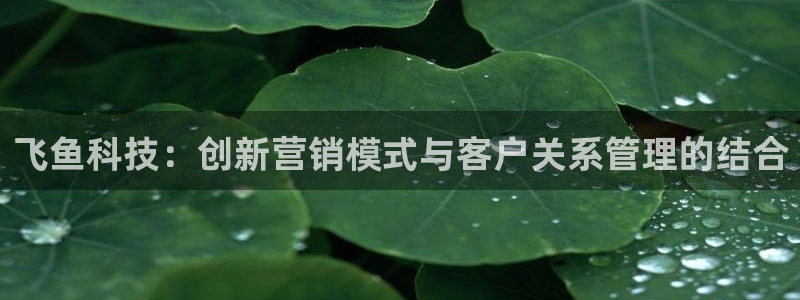 金年会体育是黑台子吗