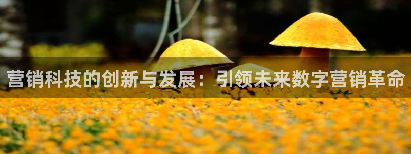 金年会官方在线入口网站下载