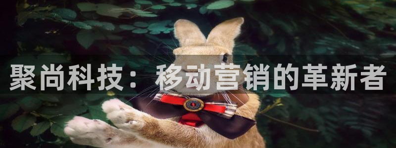 金年会网站入口登录：