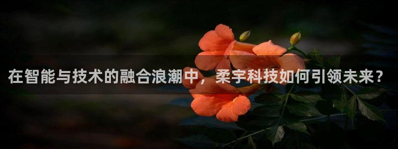 金年会官方入口app