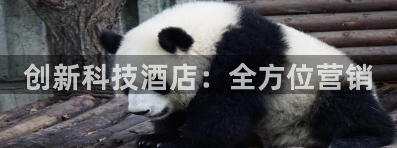 金年会官方登录入口网址是什么