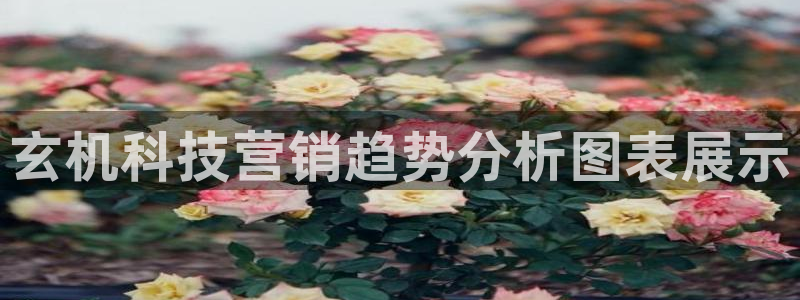 金年会官方登录入口手机版下载