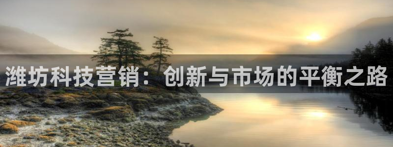 金年会官方登录入口手机版app
