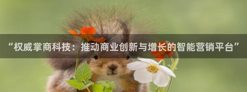 金年会app登录官网入口