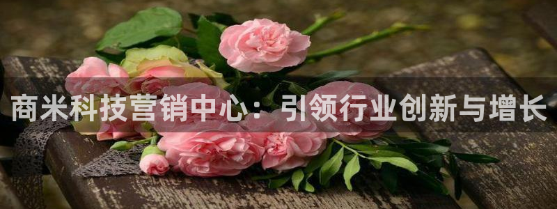 金年会app登录官网入口