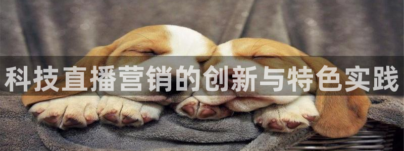 金年会体育注册