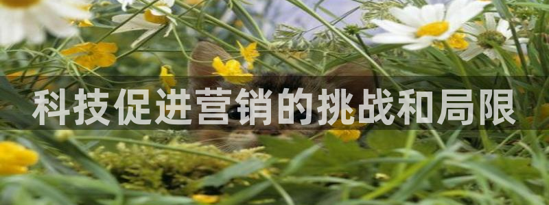 金年会官方网站入口登录网址是什么