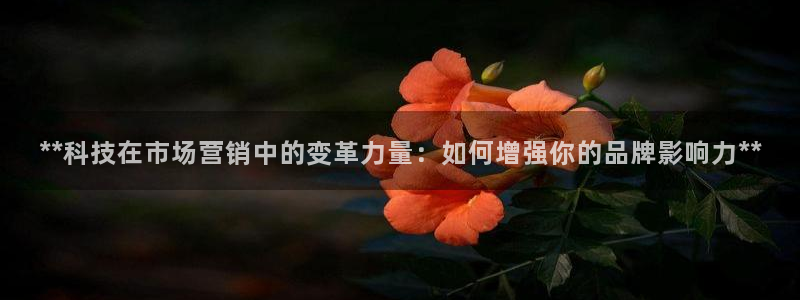 金年会官方在线登录