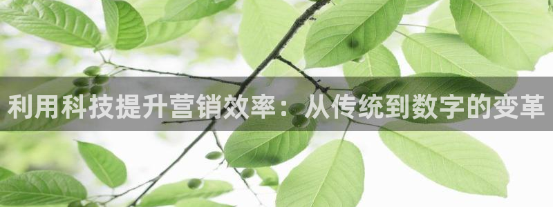 金年会体育官网登录入口网址